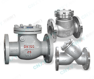 止回（huí）閥/過濾器